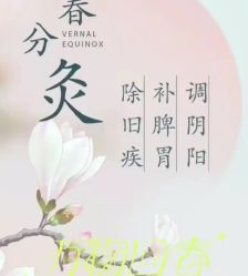 -悦瑢港湾科技美肤芳疗美容