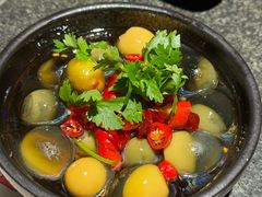狂欢小皮蛋-蛙小侠·沸腾砂锅牛蛙(增城东汇城店)