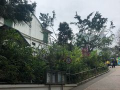 -九龙公园