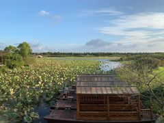 -上海海湾国家森林公园