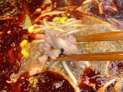 红锅锅底-赞花婆鲜兔辣卤火锅