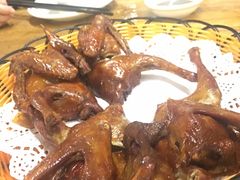 -百利鸽王(紫薇路店)