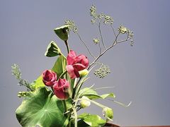 -汉艺唐风茶艺培训(联发华美空间店)