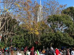 -人民公园-相亲角