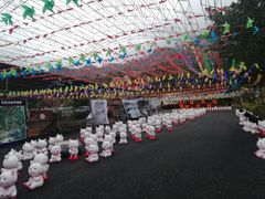 -牛鱼嘴原始生态风景区