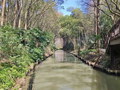 -同里国家湿地公园