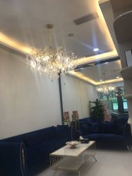 -DEM缔怡美科技美容