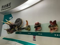-安徽省地质博物馆