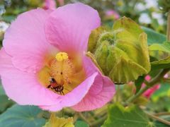 -盘龙城国家考古遗址公园