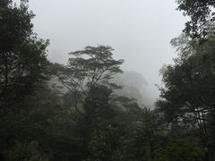 -广州市石门国家森林公园