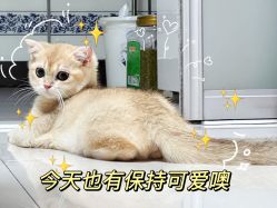 点击看大图 -木子美学