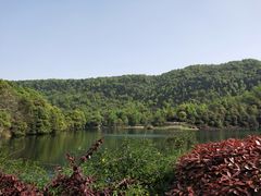 -桃花岭景区