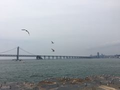 -星海湾跨海大桥