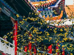 -开福禅寺