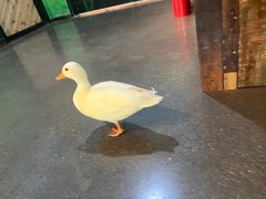 -昆明大悦城未来动物城(螺蛳湾中心店)