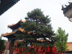 -清西陵