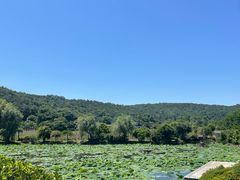 -龙寺生态园