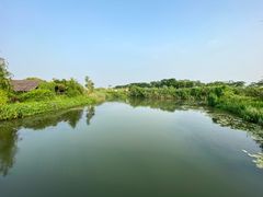 -芒洲湿地公园