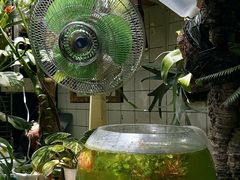 -大水的店(昙华林店)