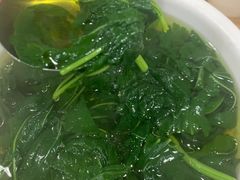-东吴霸王兔(松青路店)