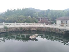 -白马涧龙池景区