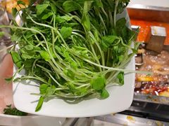 -海底捞火锅(劲松店)