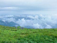 -萍乡武功山风景名胜区