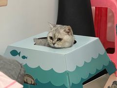 -芭比堂动物医院广州顽皮分院