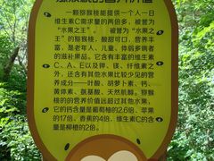 -大岭沟猕猴桃谷风景区