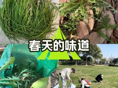 -阳澄湖半岛旅游度假区