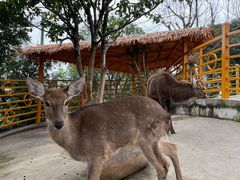 -温州乐园