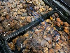 -海鲜e族(马王堆店)