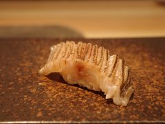 -镹·鱼料理  国产鱼使用店