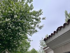 -熙古里艺术村