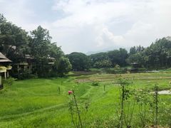 -四季酒店下午茶