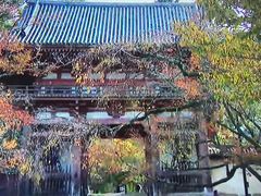 -醍醐寺