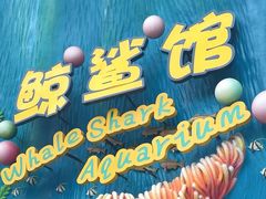 -珠海长隆海洋王国