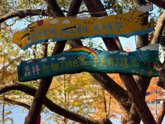 -天目湖山水园