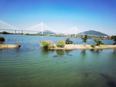 -芒洲湿地公园