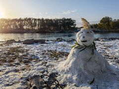 -大兴滨河森林公园