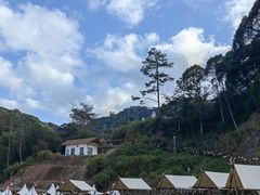 -龙岩森林水乡景区