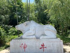 -天静宫