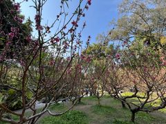 -桃花涧