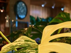 -1861意大利餐厅(文化广场店)