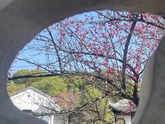 -八大山人梅湖景区