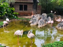 -昆明动物园
