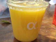 -南国桃园旅游度假区