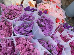 -循礼门鲜花花市(武汉循礼门店)