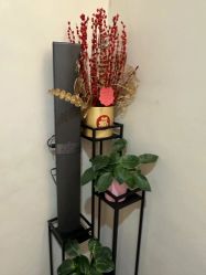-苑苑vbeauty科技美容SPA