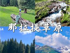 -赛里木湖风景名胜区